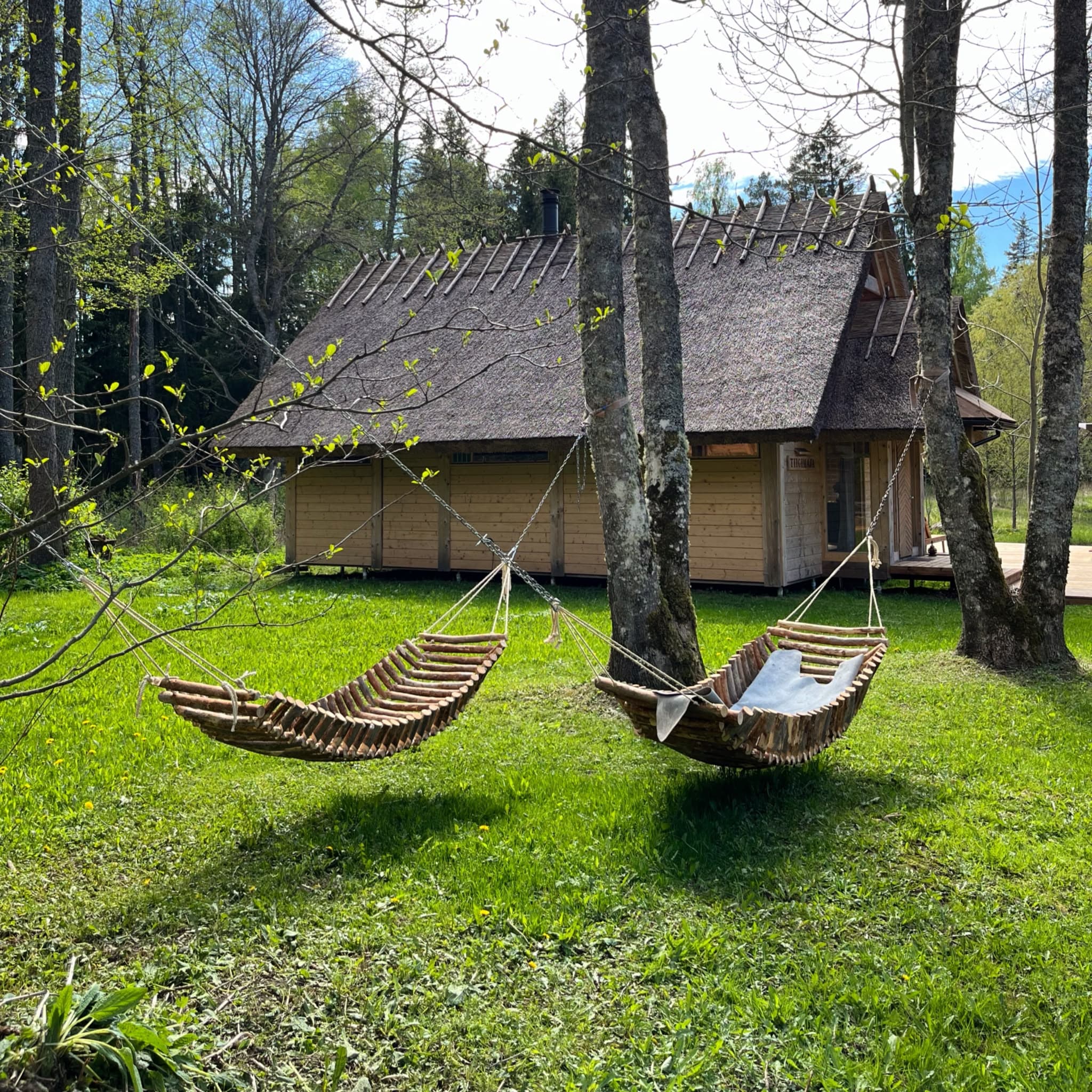 Two timber hammocks slung between birches before the house