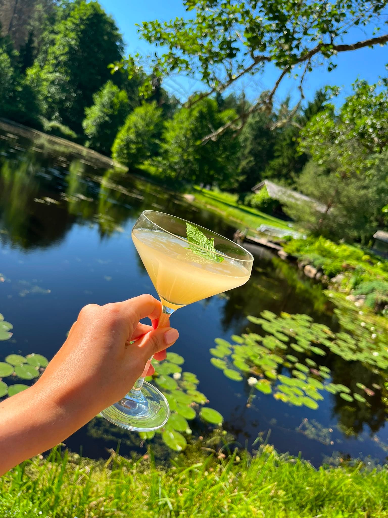 A cocktail glass held above the pond in evening light