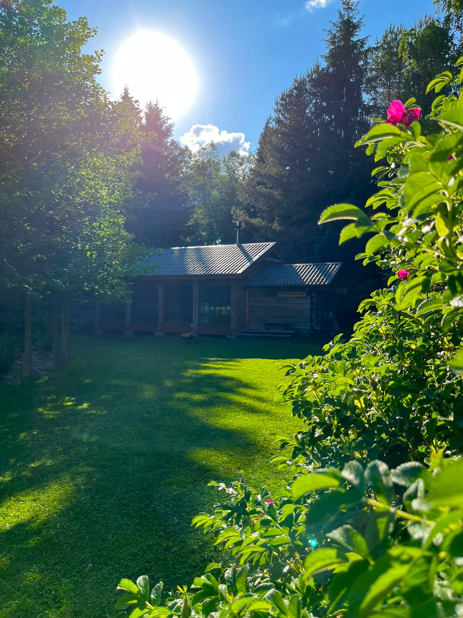 The Forest House across the lawn against the forest