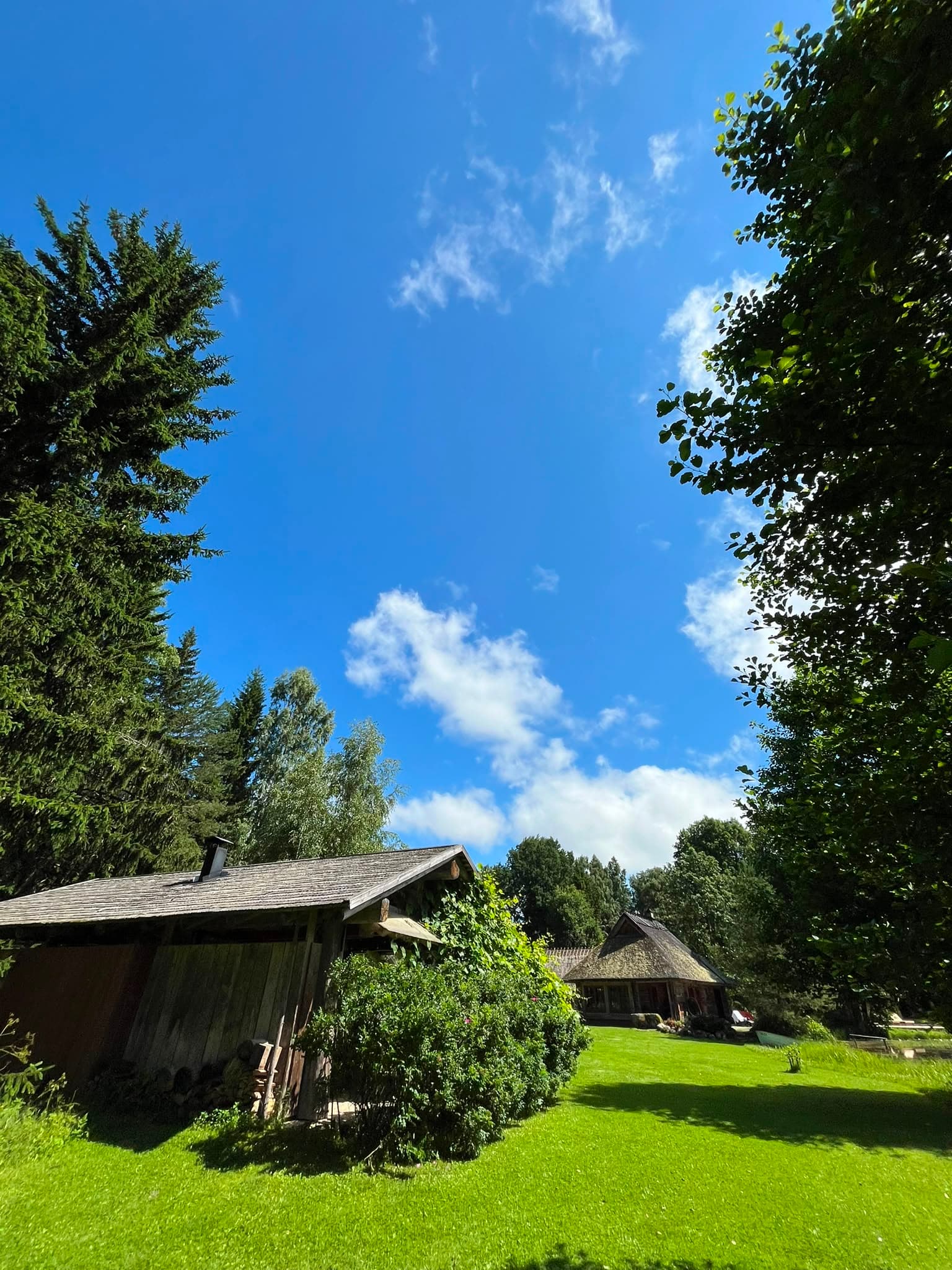 The Forest House from behind, seen through the trees