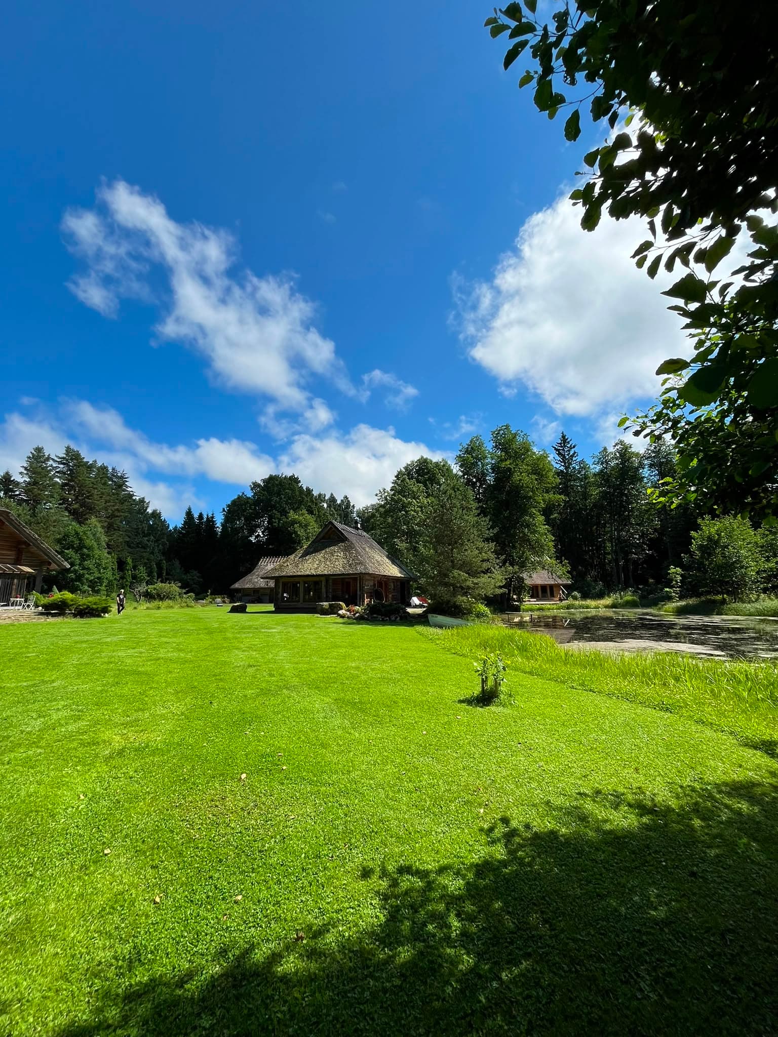 Mown lawn between the houses on a summer day