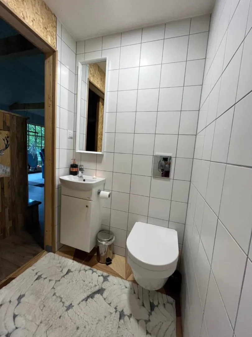 Forest House — the white-tiled washroom with basin and mirror