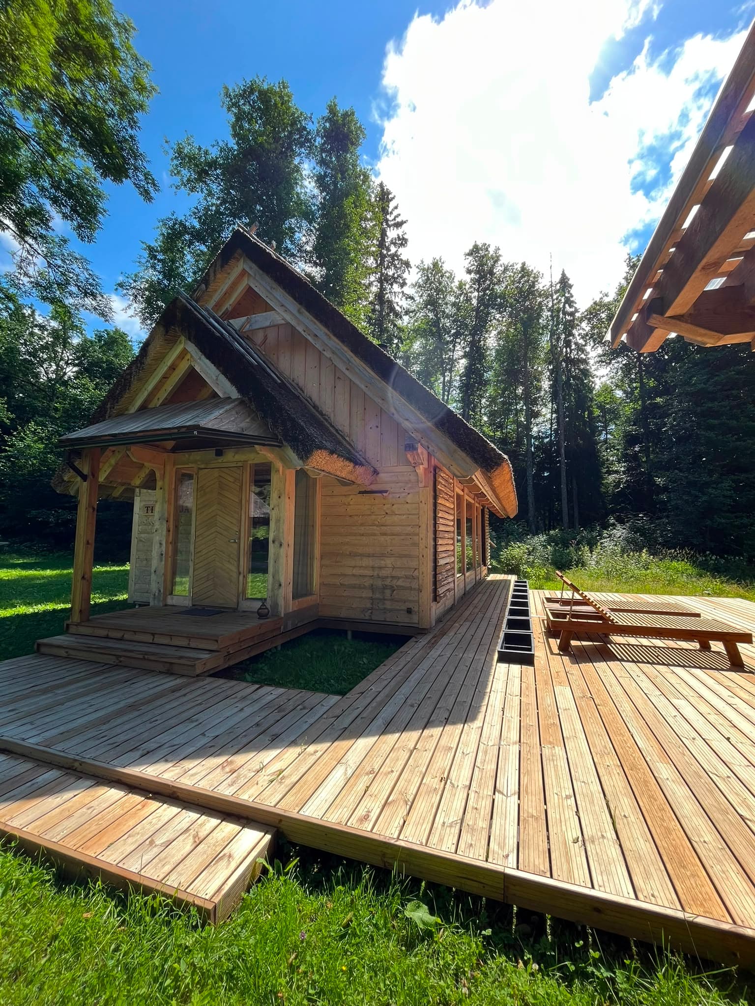 The Pond House from the side — pale timber with its broad deck, spruce forest behind